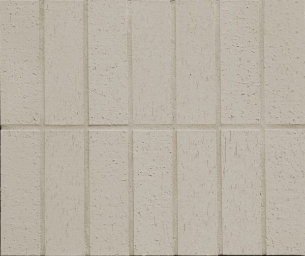 DT601 grouted - Cerdomus Tile Studio Quality Tiles - August 27, 2024 45x145 Teku Extruded Porcelain Oatmeal Loose Brick Tiles DT601