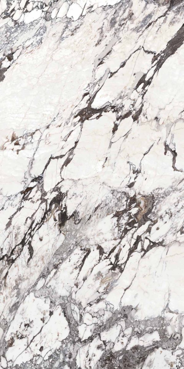 Capraia B M0ZQ - Cerdomus Tile Studio Quality Tiles - October 18, 2021 1600x3200x6 Grande Capraia "B" Lux Pol Book Match Panel M0ZQ