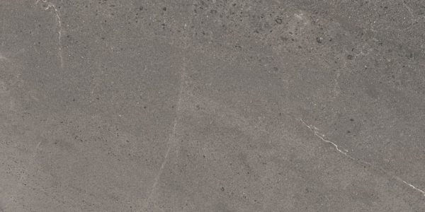 P2225 - Cerdomus Tile Studio Quality Tiles - October 29, 2021 450x900 Nordic Svezia Stone Matt P2225