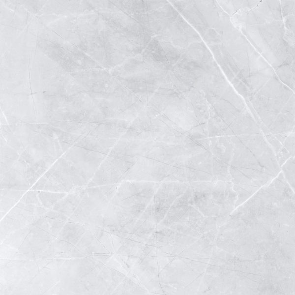 R2141P R2142P - Cerdomus Tile Studio Quality Tiles - February 4, 2023 600x600 Lique Terra LT Grey Polished R2141P